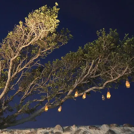 Paramythi Art Maison