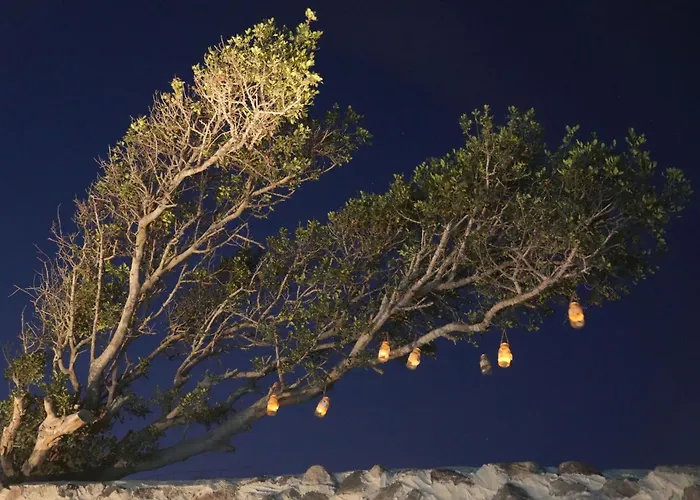 Paramythi Art Maison